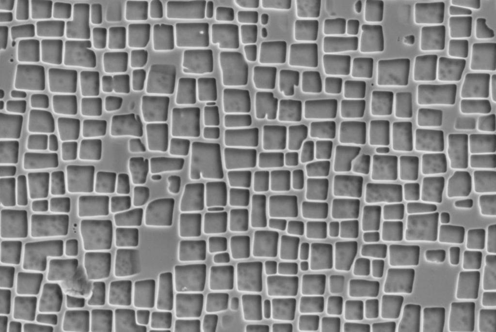 Electron microscope image of a high-temperature alloy in the microsection, with a high proportion of cubic precipitation particles, which can be seen in the image as squares between protruding walls.