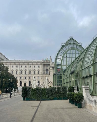 Palmenhaus_Hof