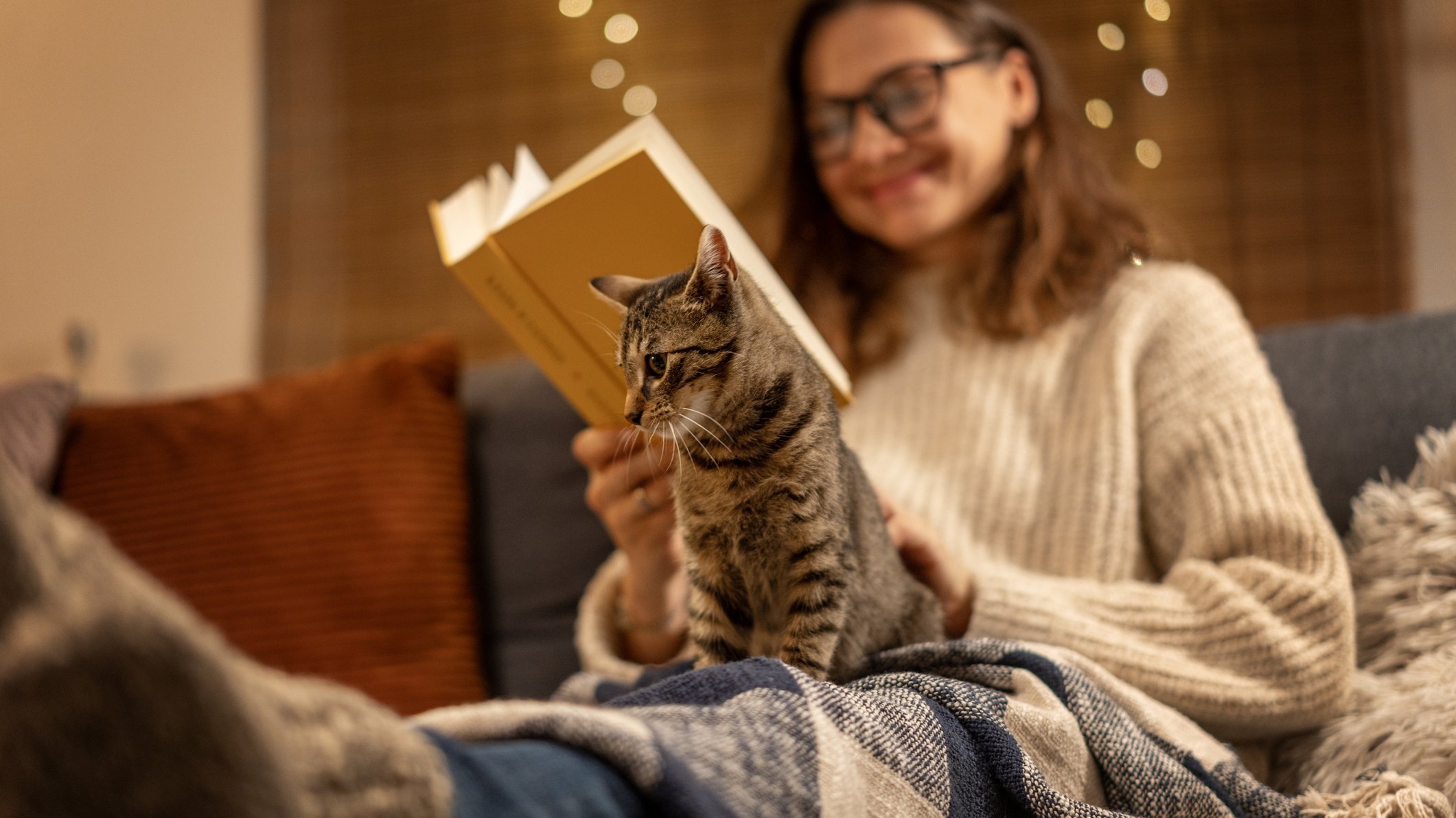 eine Frau auf der Couch liest in einem Buch, davor sitzt eine Katze