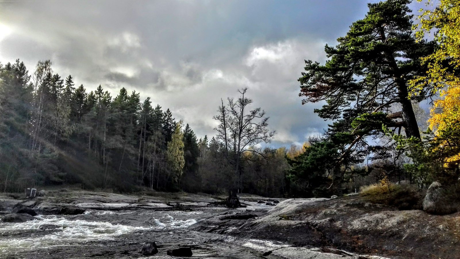 Fluss und Wald