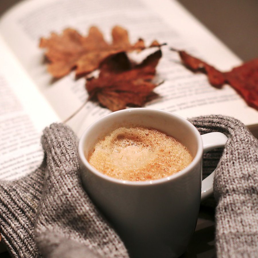 Tasse mit Buch und Blättern