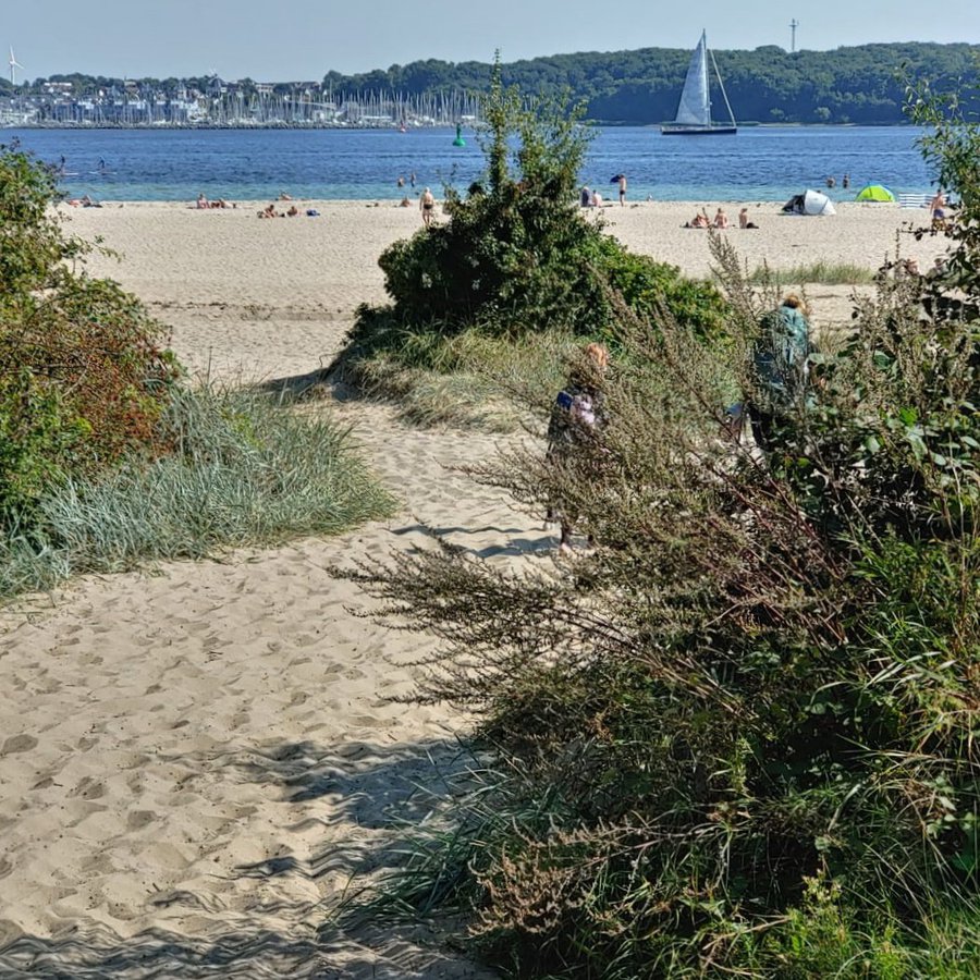 strand kiel förde wasser