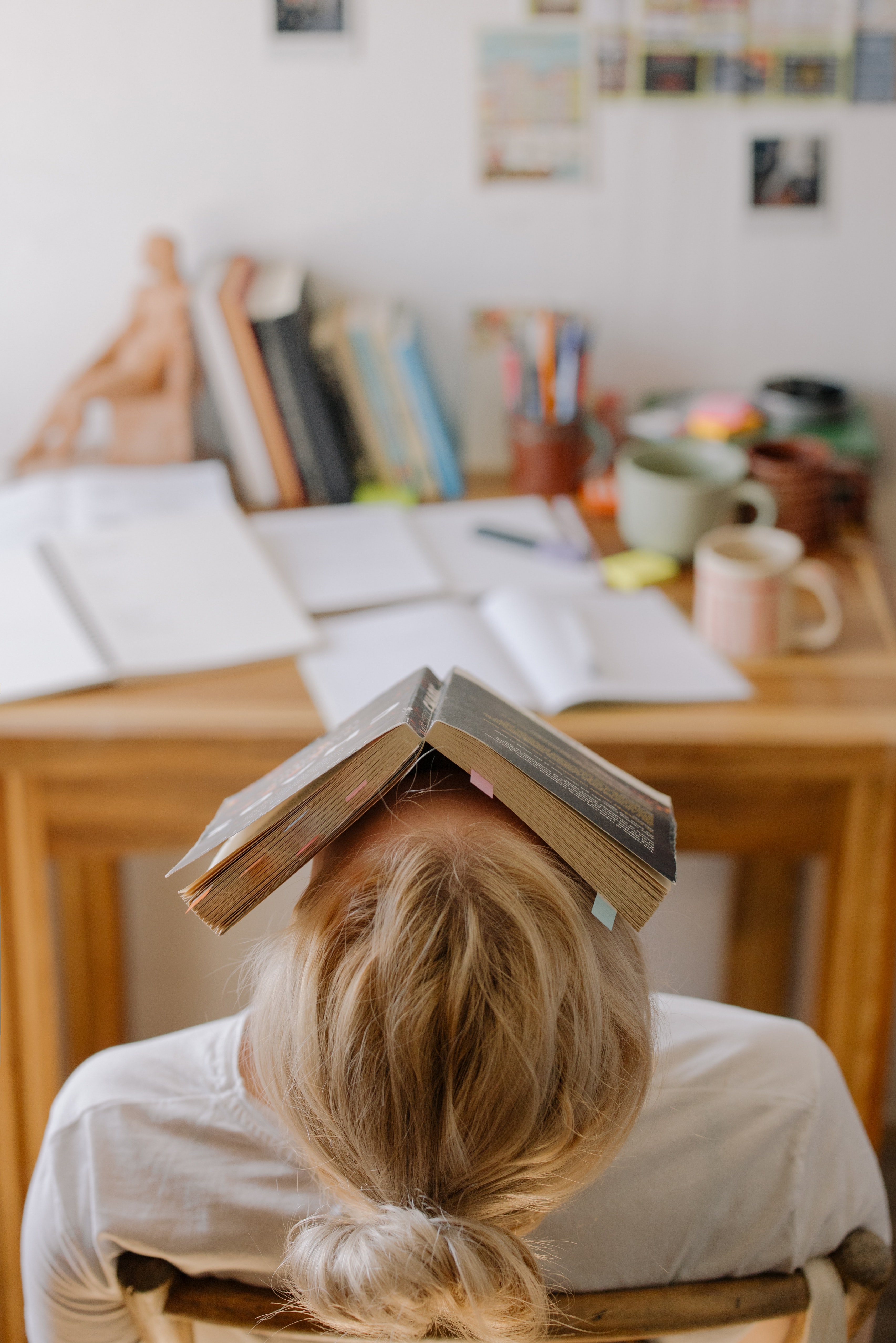 Person mit Buch auf dem Gesicht